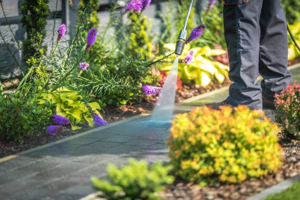 Best Post-Construction Pressure Washing  in North Bethesda, MD